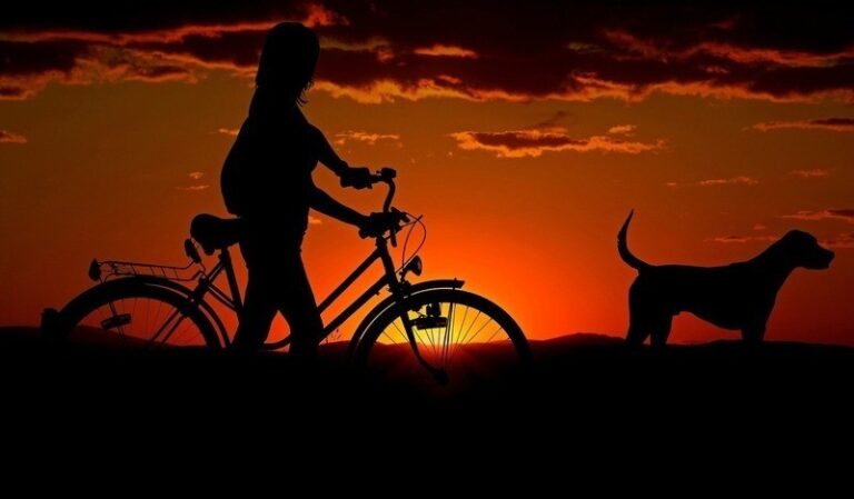 Czym jest Bikejoring? Czy mój pies jest odpowiedni?