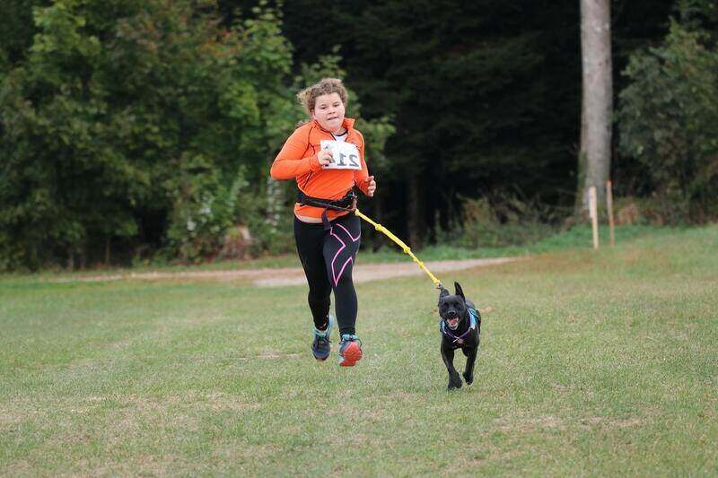 Canicross - na czym to polega?