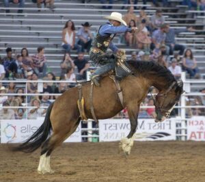 Chilijskie rodeo - zasady sportu