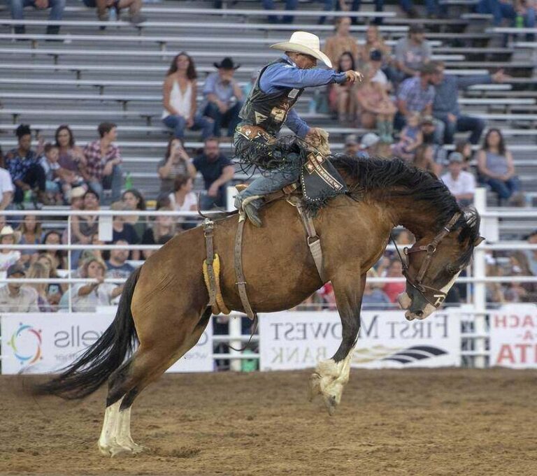 Chilijskie rodeo - zasady sportu