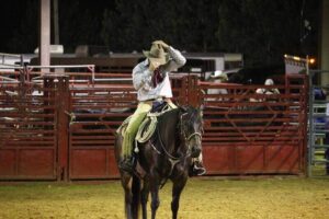 Colear - czym dokładnie jest?