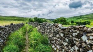 Haxey Hood - czym jest? Przebieg rozgrywki