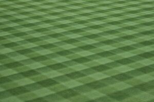 Lacrosse - czym jest i na czym polega?