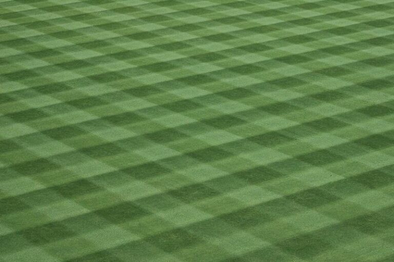 Lacrosse - czym jest i na czym polega?