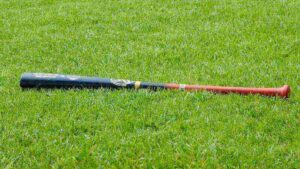 Palant - czym jest i na czym polega?