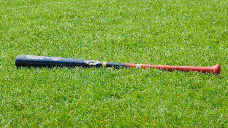 Palant - czym jest i na czym polega?