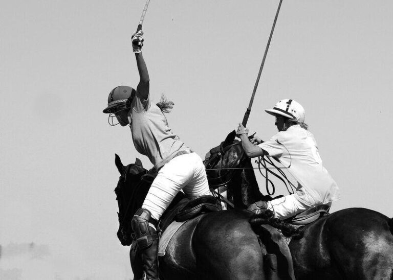 Polo‎ - czym jest i na czym polega?