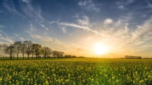 Najdłuższy dzień w roku